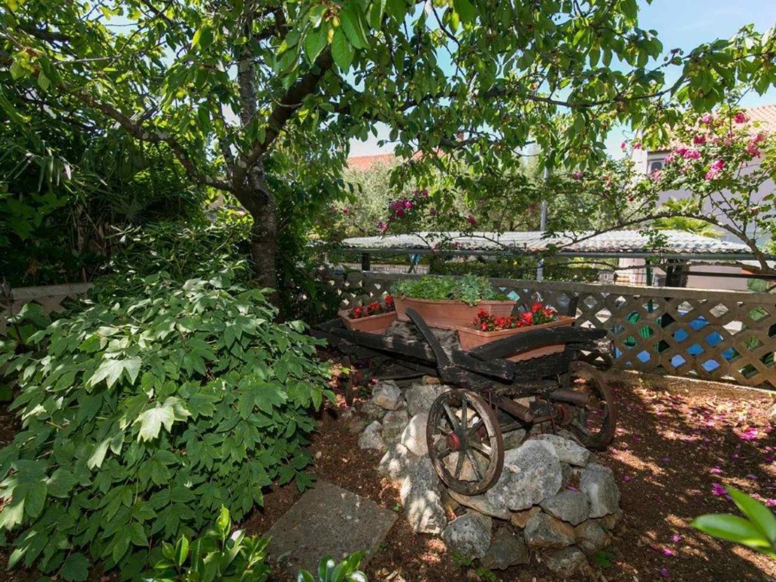 Apartments Loredana Porec Exterior photo